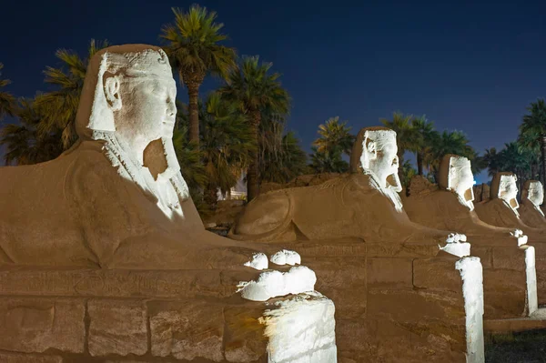 Statyer Avenyn Sfinxer Antika Egyptiska Luxor Temple — Stockfoto