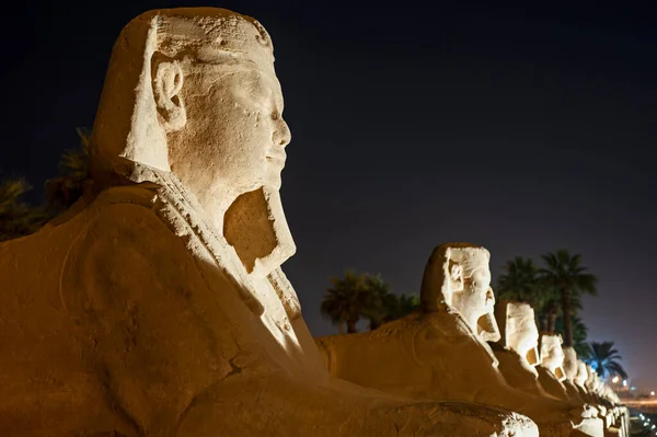Αγάλματα Στη Λεωφόρο Των Σφίγγων Στην Αρχαία Αιγυπτιακή Λούξορ Ναός — Φωτογραφία Αρχείου