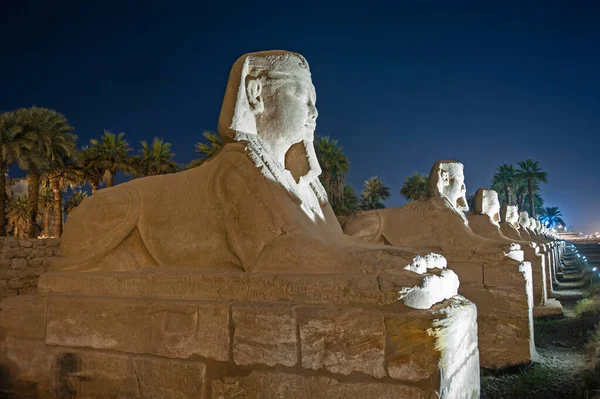 Статуи Проспекте Сфинксов Древнем Египетском Храме Луксор — стоковое фото