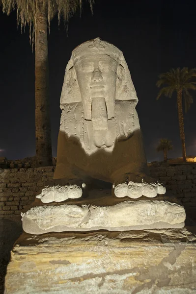 Estátua Avenida Esfinges Antigo Templo Egípcio Luxor Iluminado Durante Noite — Fotografia de Stock