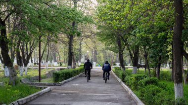 Royal Botanic Gardens 'taki ağacın altında.