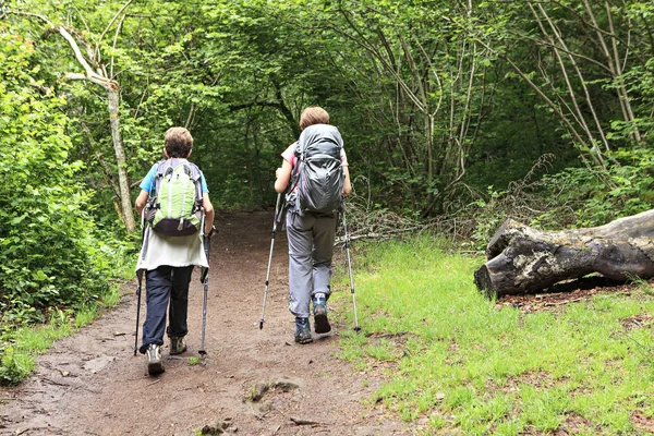 Mulheres Caminhando Floresta — Fotografia de Stock