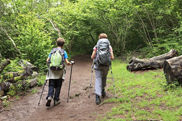 Vrouwen Die Het Bos Wandelen — Stockfoto