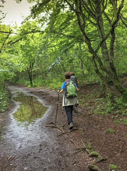Nők Sétálnak Erdőben — Stock Fotó