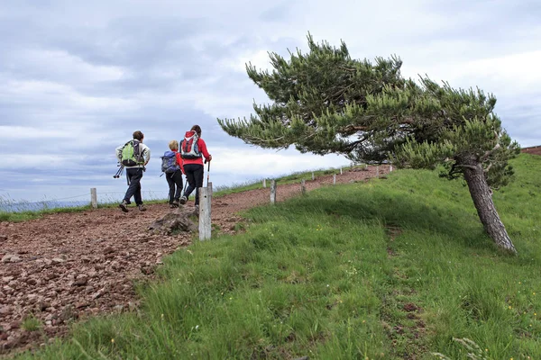 Grupo Excursionistas Camino — Foto de Stock