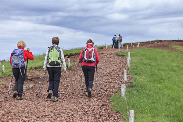 Kvinnor Vandring Vägen — Stockfoto