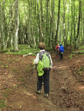 Grup yürüyüşçü orman