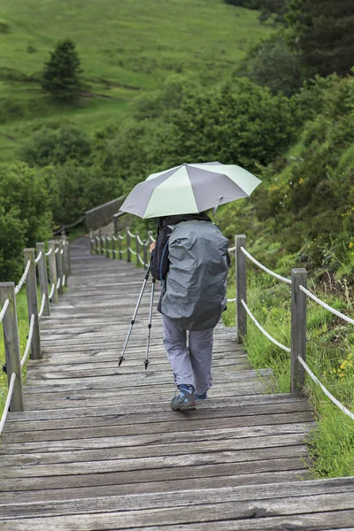Žena Deštníkem Sestupně Dřevěné Schodiště — Stock fotografie