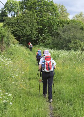 Grup yürüyüşçü orman