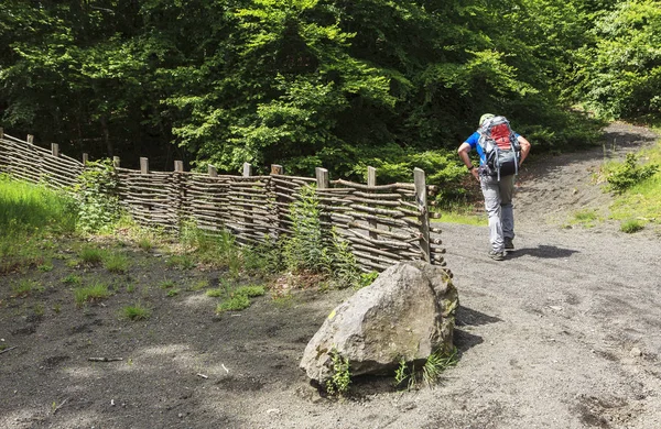 Groep Wandelaars Lopen Een Pad — Stockfoto