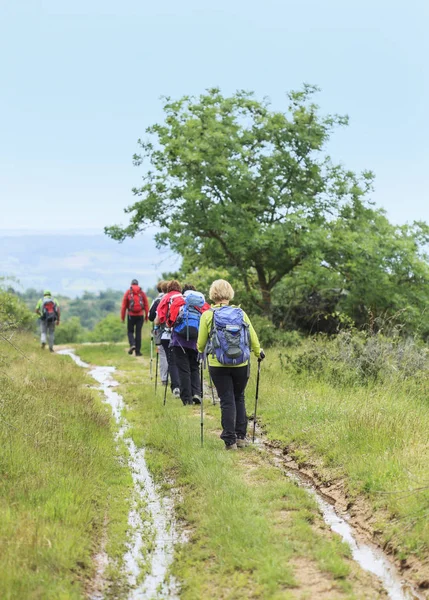 Groep Wandelaars Lopen Een Pad — Stockfoto