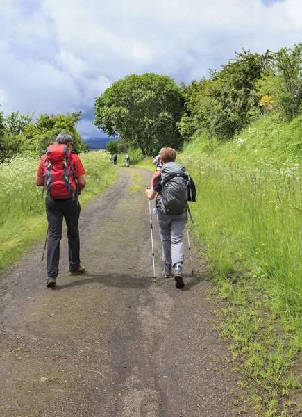 Groep Wandelaars Lopen Een Pad — Stockfoto