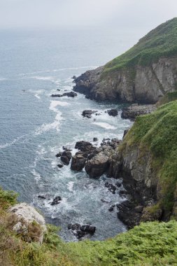 kayalık sahil ve ferns Brittany