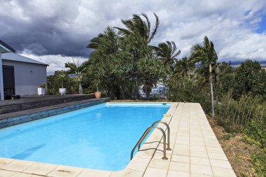 yüzme havuzu ve palmiye ağaçları