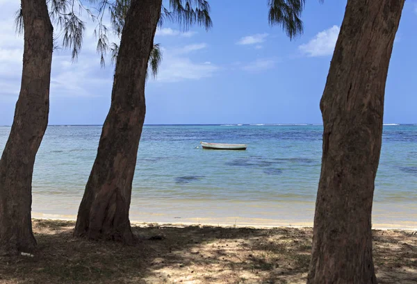 Schöner Strand Auf Mauritius Insel — Stockfoto