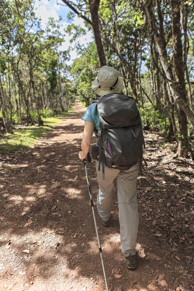 Mujer Solitaria Paseando Por Bosque — Foto de Stock