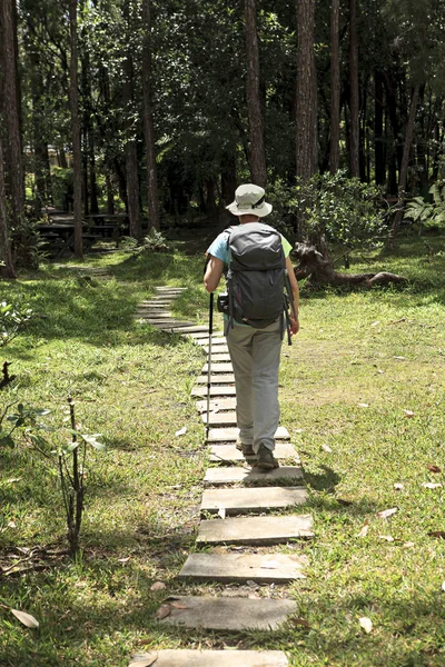 Μοναχική Γυναίκα Μια Βόλτα Στο Δάσος — Φωτογραφία Αρχείου