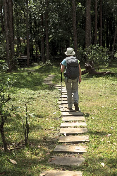 Eenzame Vrouw Wandeling Het Bos — Stockfoto