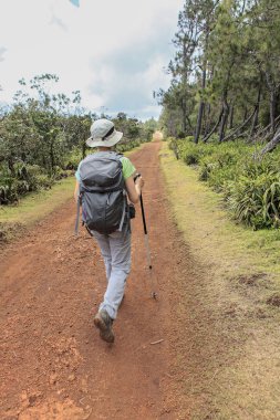 Yalnız kadın ormanda geziniyor