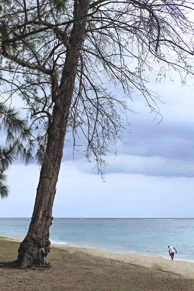 Wyspa Plaża Mauritius — Zdjęcie stockowe