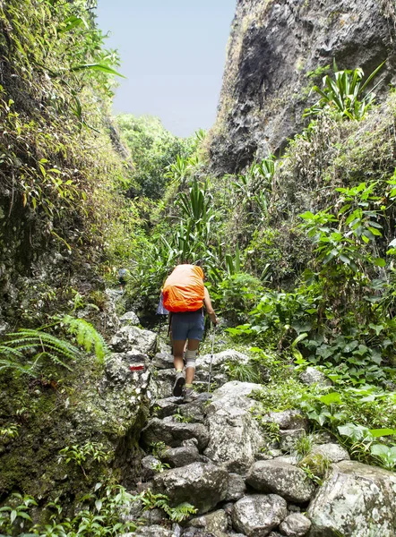 Difícil Caminata Isla Tropical — Foto de Stock