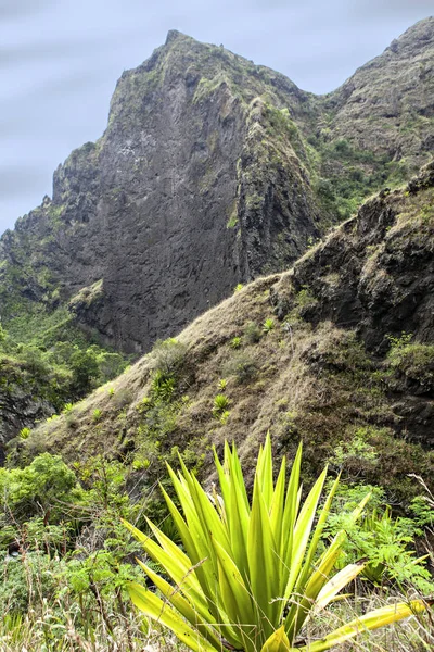 Certical Liggande Reunion Island — Stockfoto