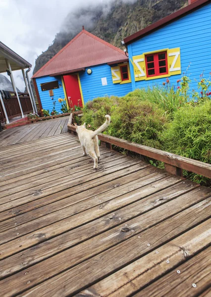 Colored House Serving Refuge — Stock Photo, Image