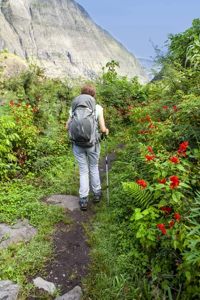 Одинокая Женщина Идущая Тропинке Покрытой Цветами — стоковое фото