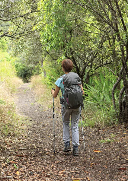 Γυναίκα Που Περπατά Στο Δάσος — Φωτογραφία Αρχείου