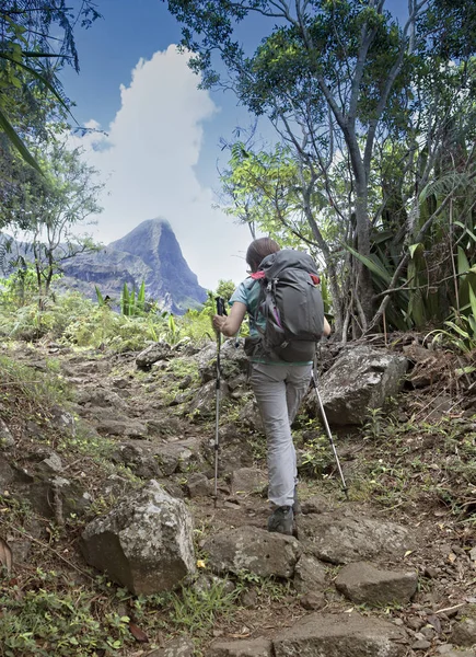 Yalnız Kadın Üzerinde Kayalık Bir Yol Hiking — Stok fotoğraf