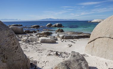 Güney Afrika'da kumlu plaj