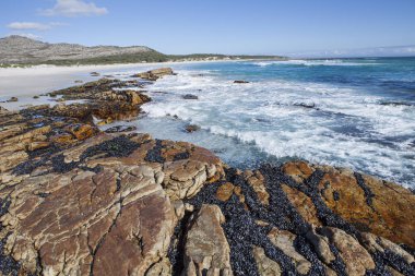 iyi umut Cape yakınındaki plaj