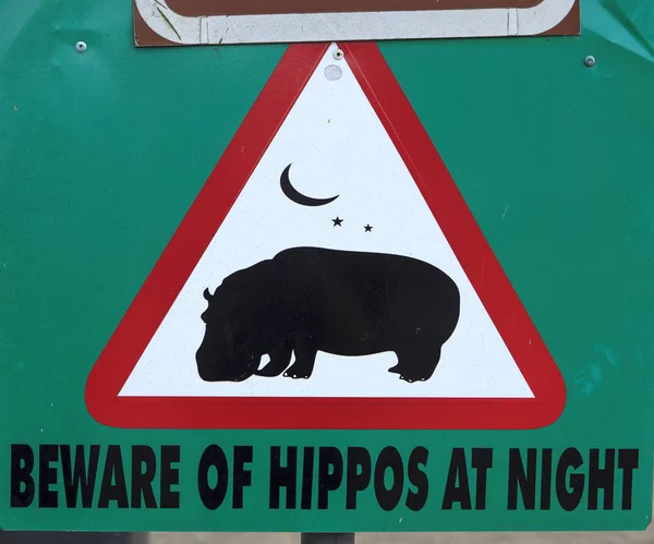 Méfiez Vous Des Hippopotames Nuit — Photo