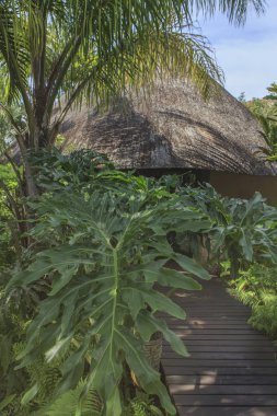 Lüks bahçe ile güzel bir tatil