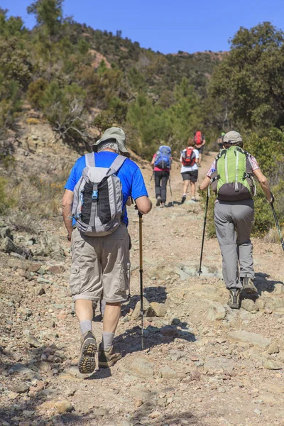 Groupe Randonneurs Marchant Sur Sentier Pierreux — Photo