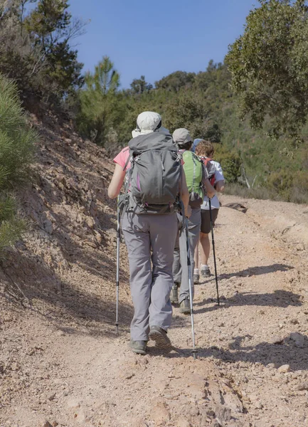 Grupo Excursionistas Caminando Por Camino — Foto de Stock