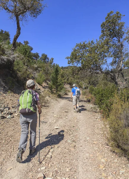 Group Hikers Walking Stony Path — Stock Photo, Image