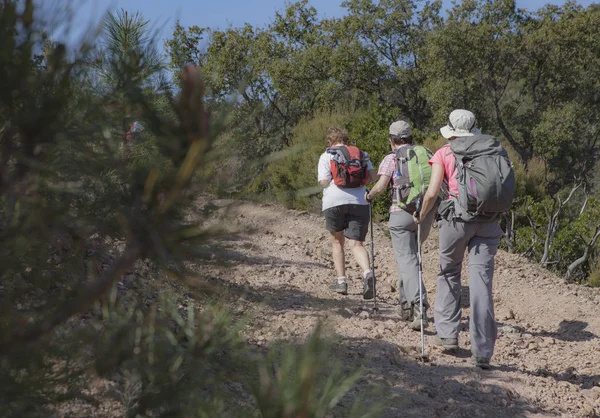 group of hikers walking on the path