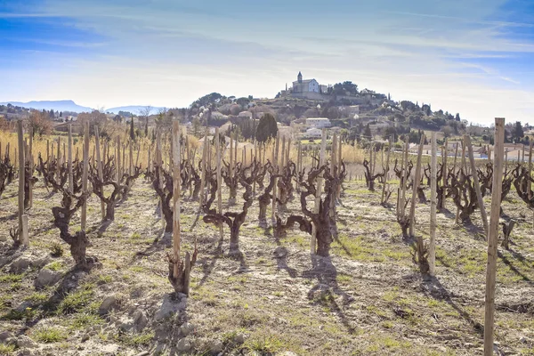 Vineyard Village South France — Stock Photo, Image