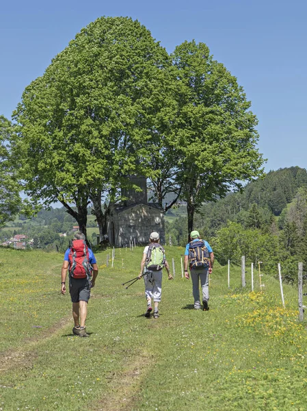 Group Hikers Walking Countryside — Stock Photo, Image