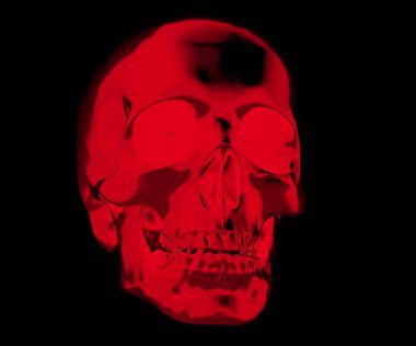 İnsan kafatası Art resim