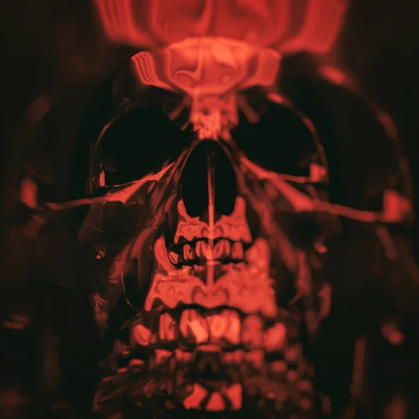 人間の頭蓋骨の画像 — ストック写真