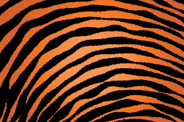 Fechar Stripe Animal Pattern — Vetor de Stock