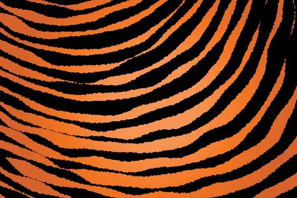 Close up Stripe Animal Pattern — Stock Vector