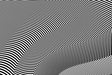 Zebra siyah ve beyaz çizgili vektör tasarımı