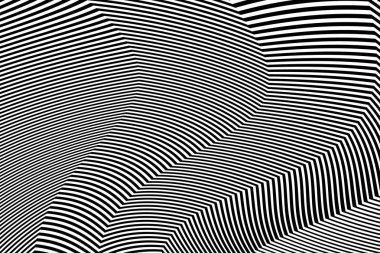 Zebra siyah ve beyaz çizgili vektör tasarımı