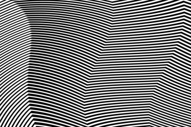 Zebra siyah ve beyaz çizgili vektör tasarımı