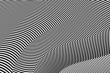 Zebra siyah ve beyaz çizgili vektör tasarımı