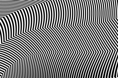 Zebra siyah ve beyaz çizgili vektör tasarımı