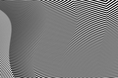 Zebra siyah ve beyaz çizgili vektör tasarımı